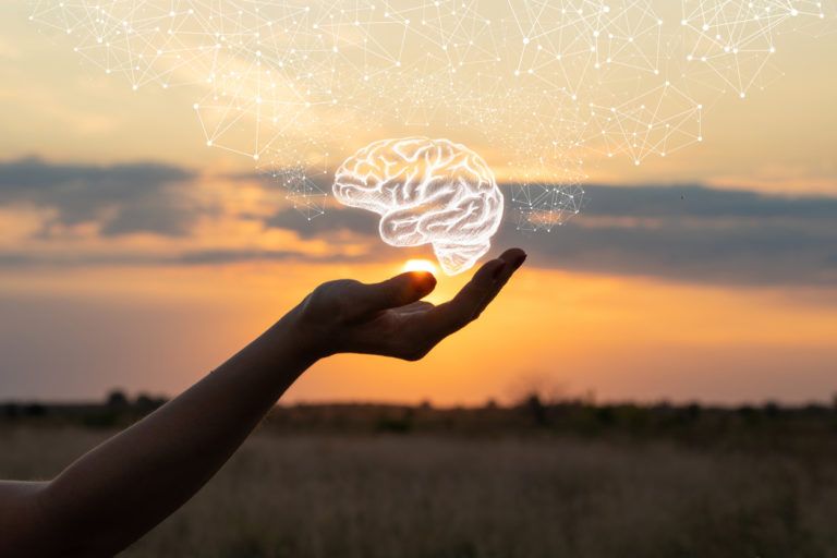 A holographic brain and nervous system made of light held between someone's hands